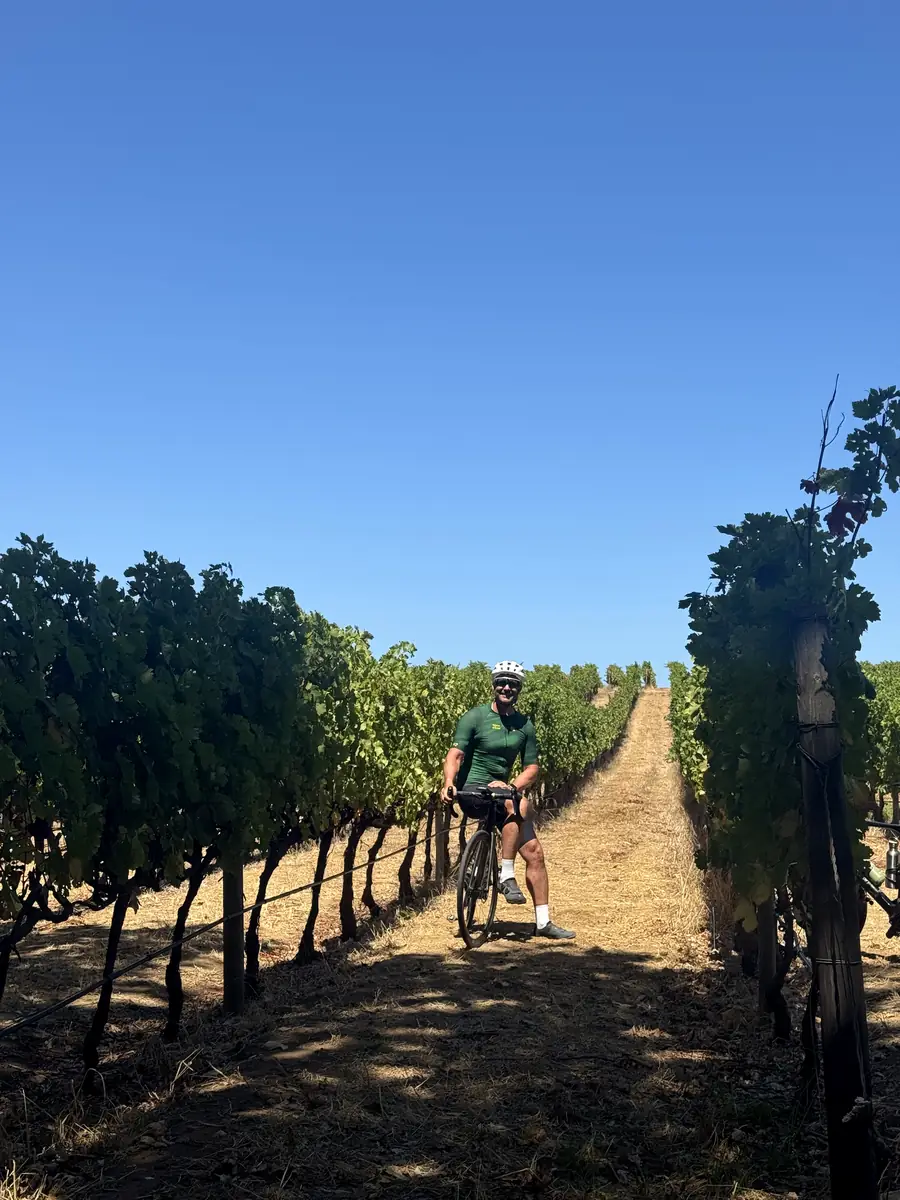 Шоссейный маршрут среди виноградников Stellenbosch и Franschhoek